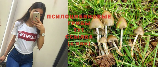 первитин Армянск