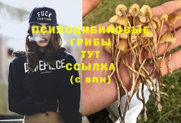 первитин Армянск