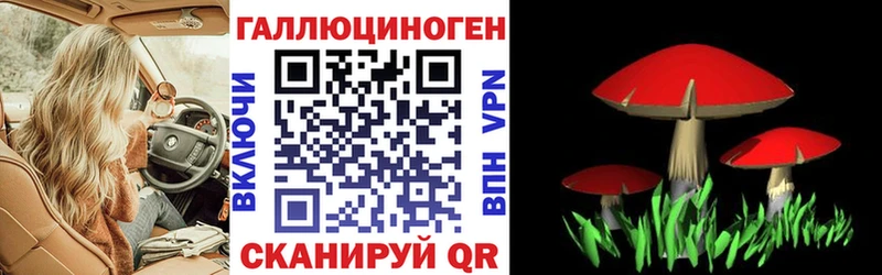 KRAKEN онион  Валдай  Галлюциногенные грибы Psilocybine cubensis  купить наркоту 