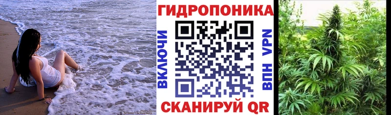 Шишки марихуана Ganja Валдай